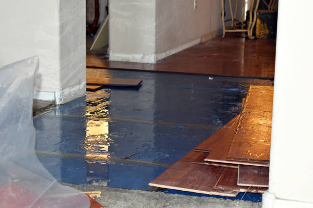 Professional Burst Pipe Cleanup technician working in Blanco, TX