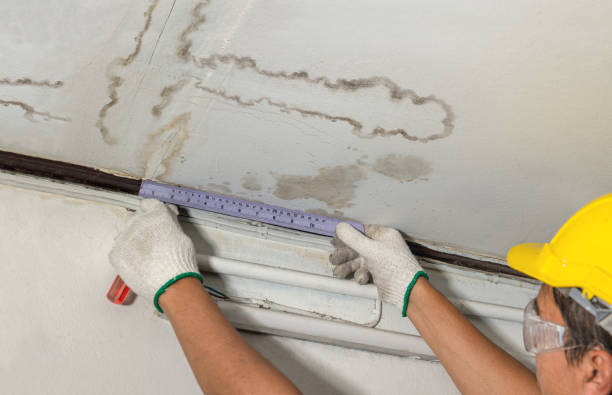 Reliable Burst Pipe Cleanup contractor in Blanco, TX by Water Damage Irwin